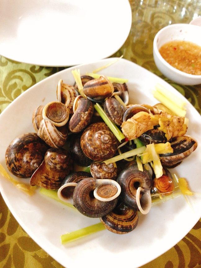 Ốc đá