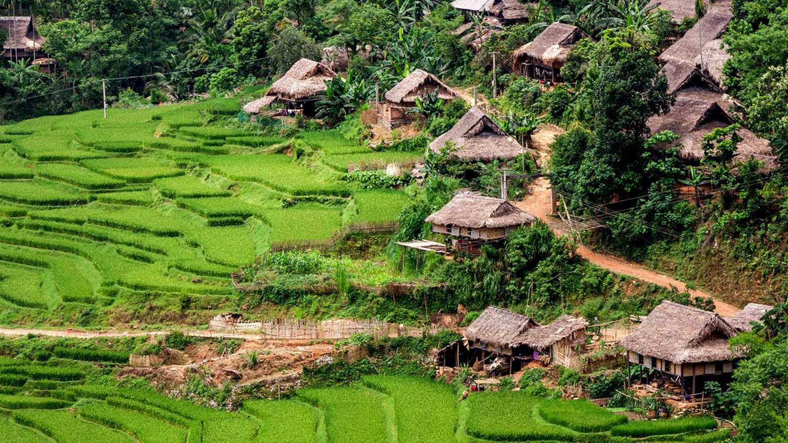Ngỡ ngàng vẻ đẹp thơ mộng của Bản Kho Mường