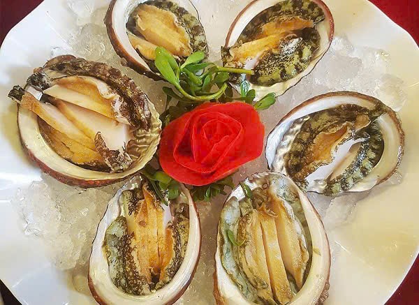 Oysters