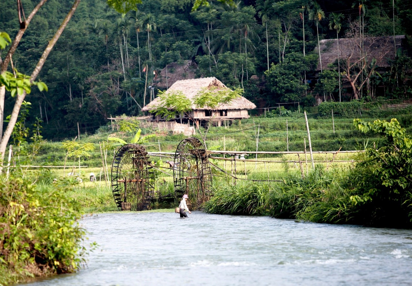 Khu bảo tồn thiên nhiên Pù Luông